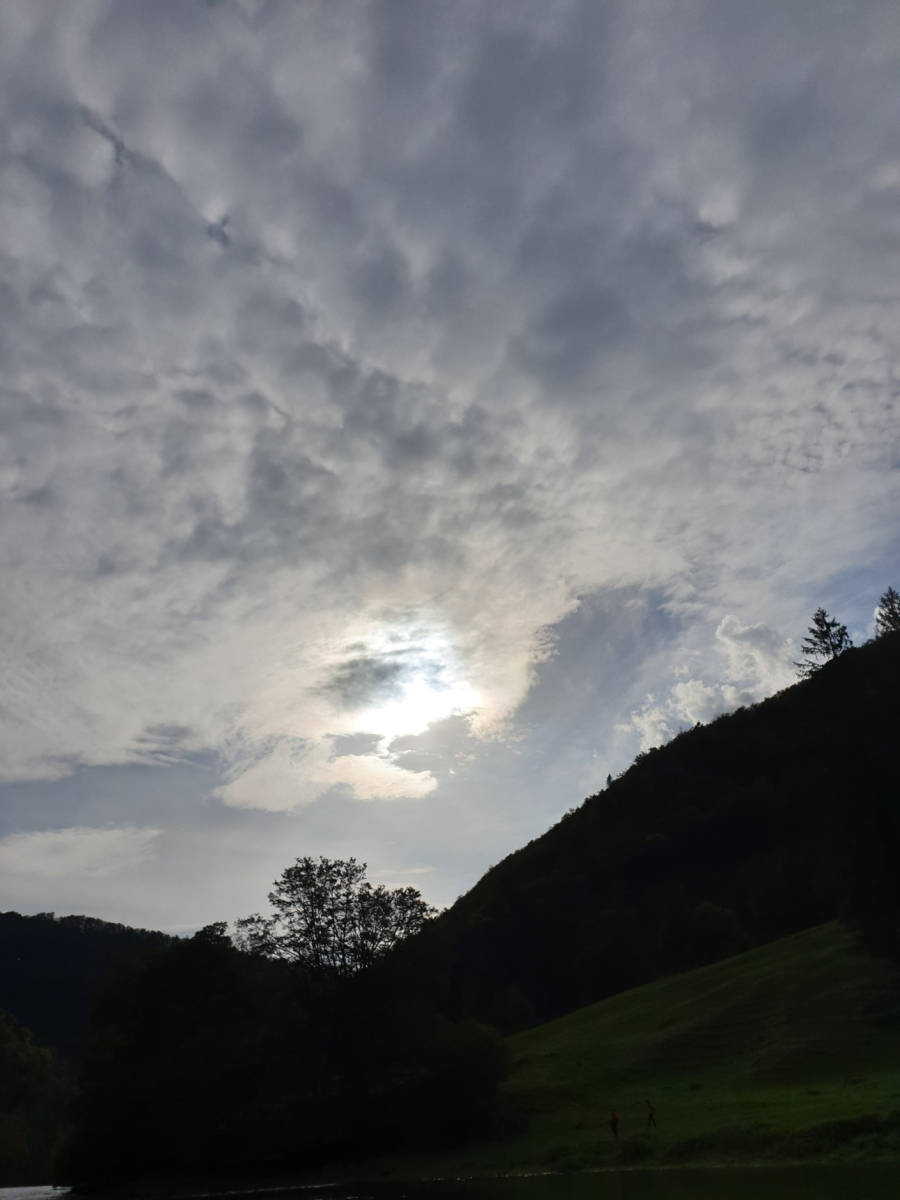 Kursbild